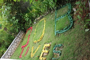 IMG_1186 IMG_1186