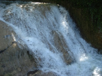 DSC01348