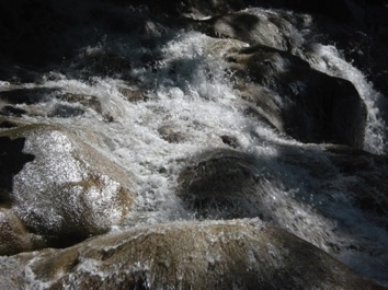 DSC01365