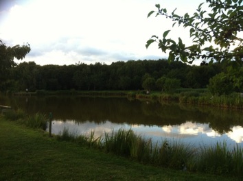 IMG_0464 IMG_0464