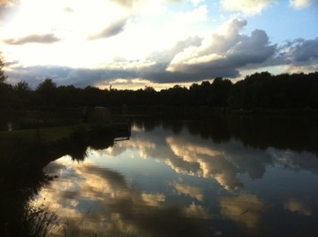 IMG_0466 IMG_0466