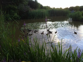 IMG_0469 IMG_0469