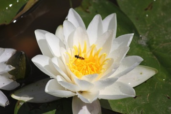 IMG_1053 IMG_1053