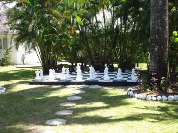 DSC01411