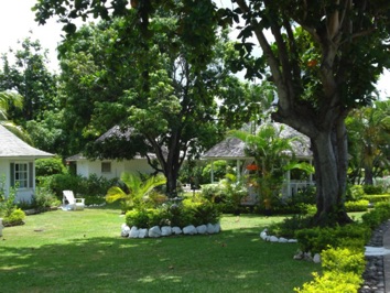DSC01445
