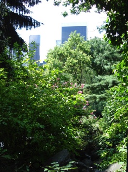 DSC01139