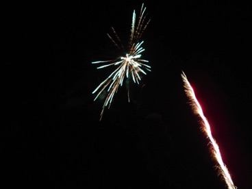 DSC00980