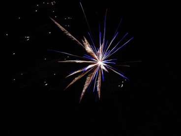 DSC00981