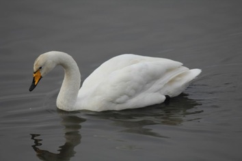 IMG_1255