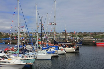 IMG_1516 IMG_1516