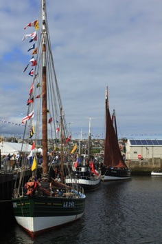 IMG_1529 IMG_1529