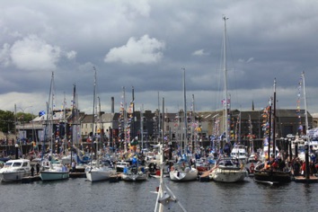 IMG_1556 IMG_1556