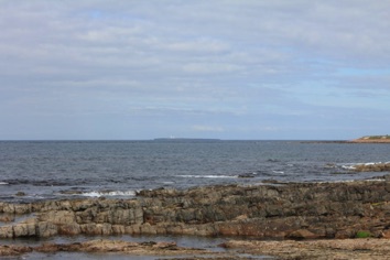 IMG_1594 IMG_1594