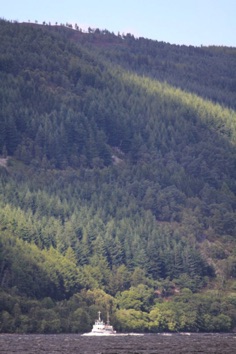 IMG_2031