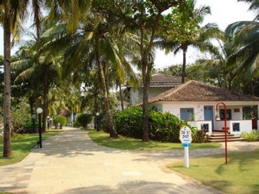 DSC00498